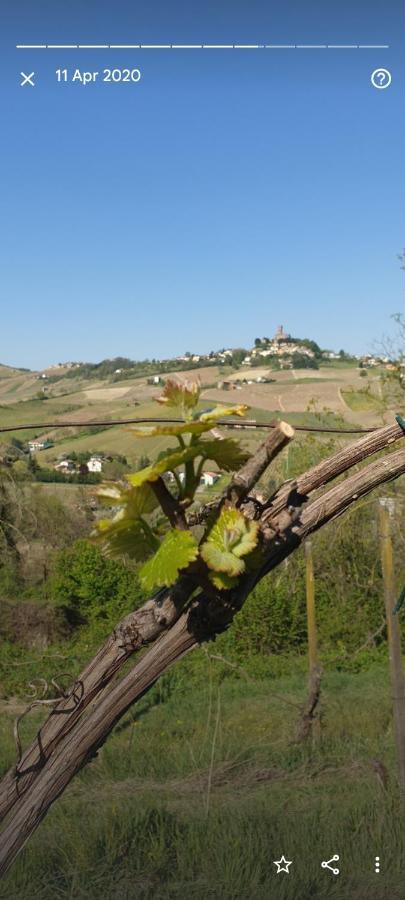 B&B Monteguzzo Cigognola Dış mekan fotoğraf
